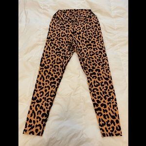 Balance Athletics King Cheetah Pant